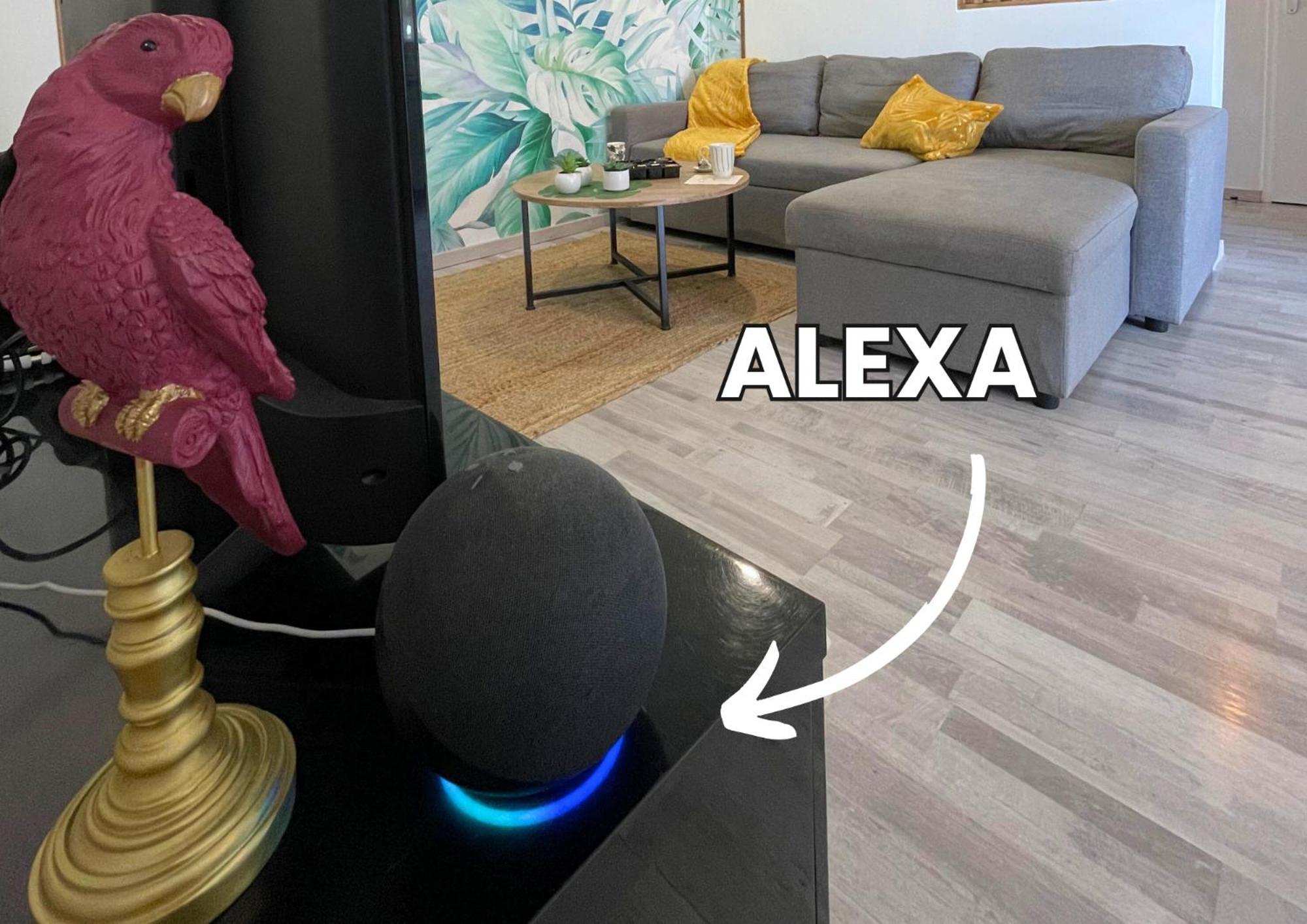 Saint-Alban Le Jungle - Parking Et Wifi Gratuit - Balcon - Alexa公寓 外观 照片